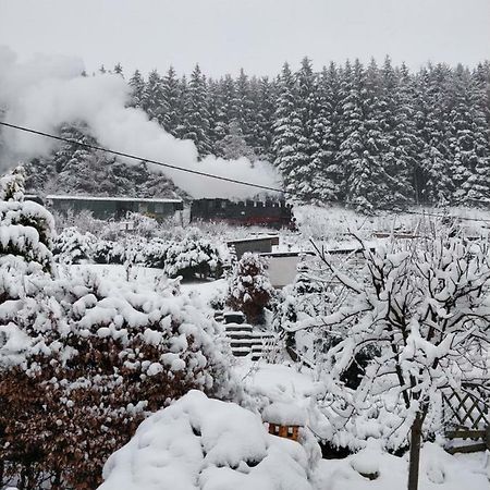 Ferienwohnung Bimmelbahn-Blick Neudorf  Buitenkant foto