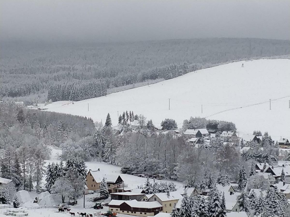 Ferienwohnung Bimmelbahn-Blick Neudorf  Buitenkant foto