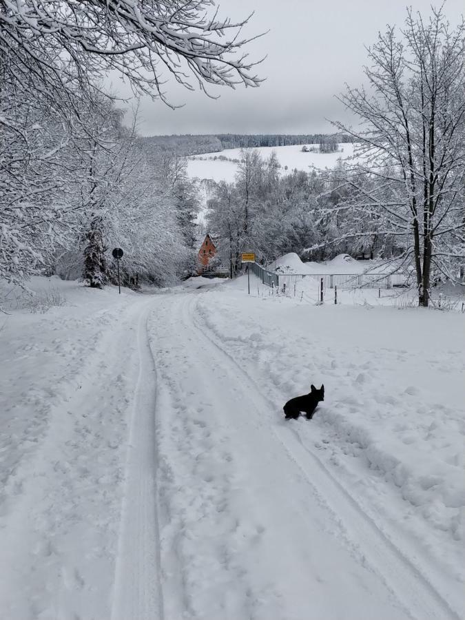 Ferienwohnung Bimmelbahn-Blick Neudorf  Buitenkant foto